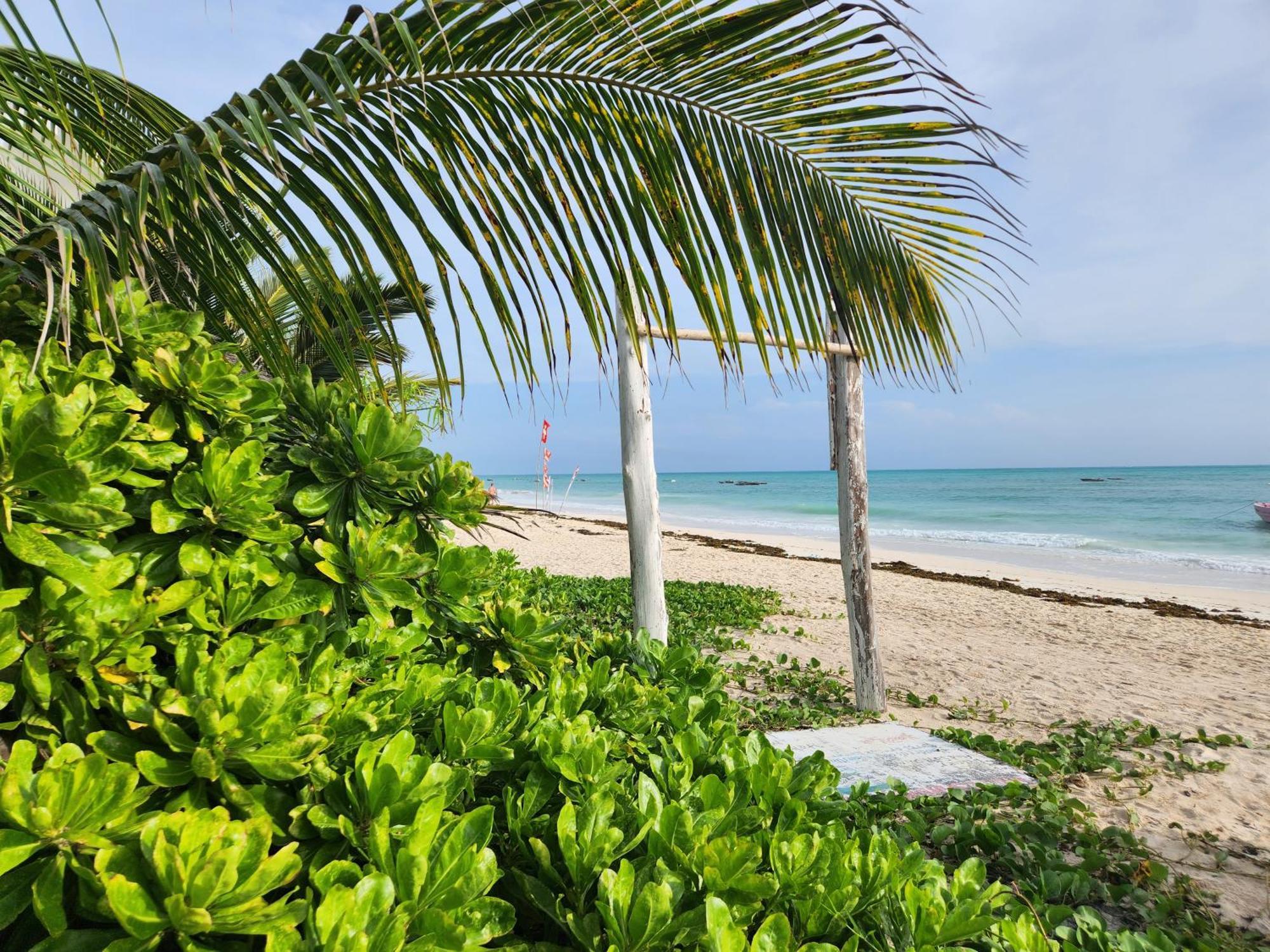Hotel Two Palms Jambiani  Exterior foto